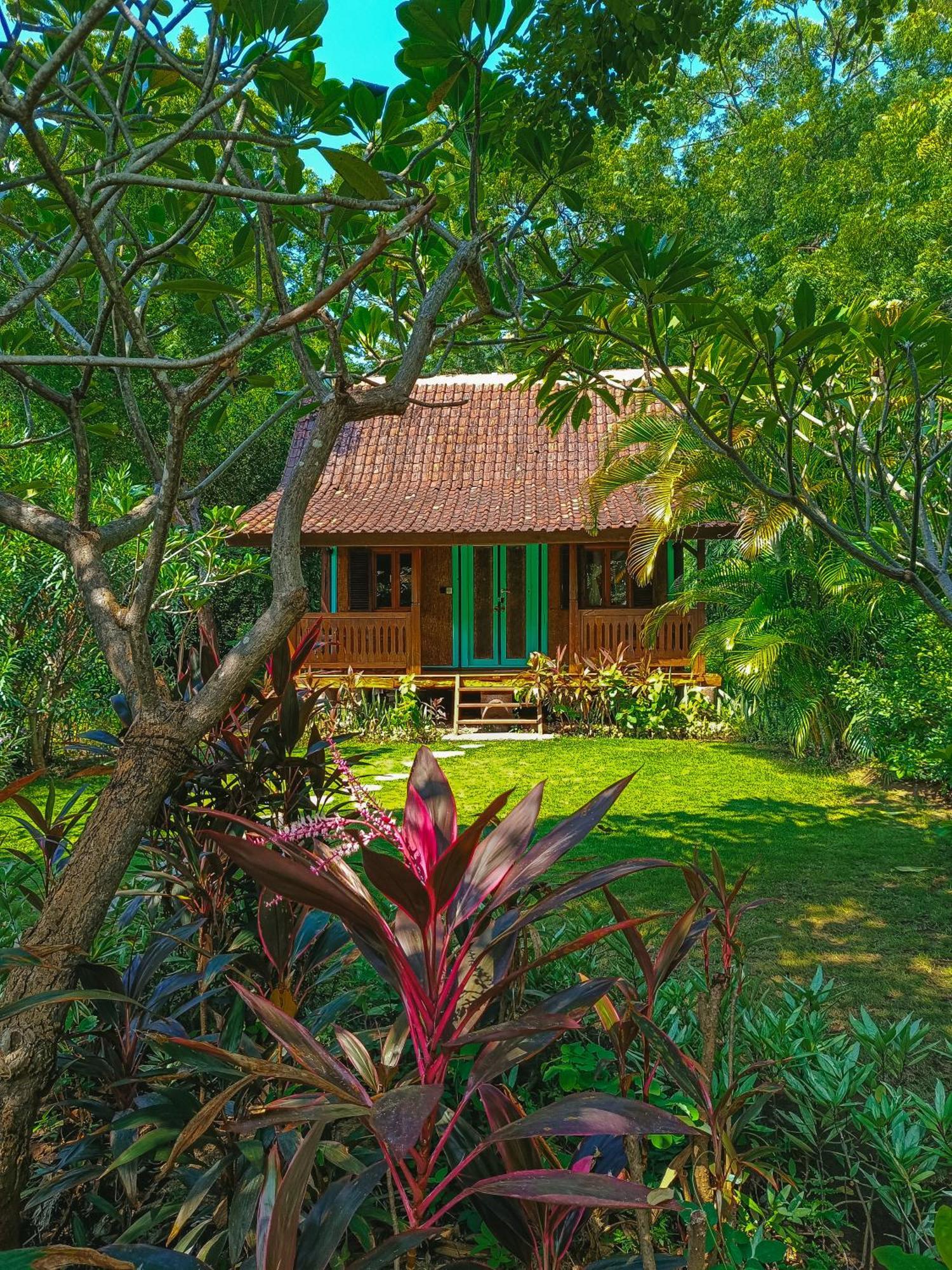 Alaya Ecolodge Pemuteran Exteriör bild