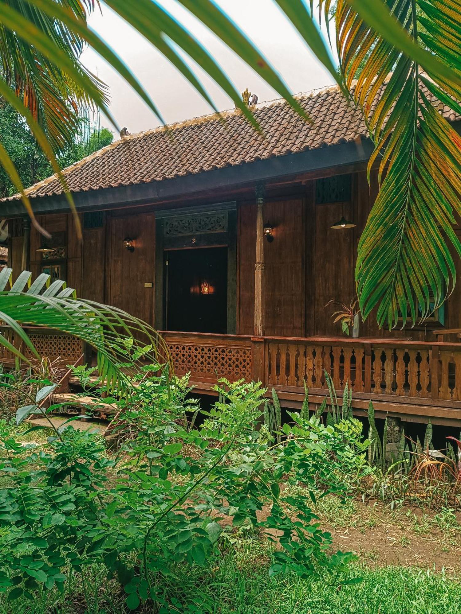 Alaya Ecolodge Pemuteran Exteriör bild
