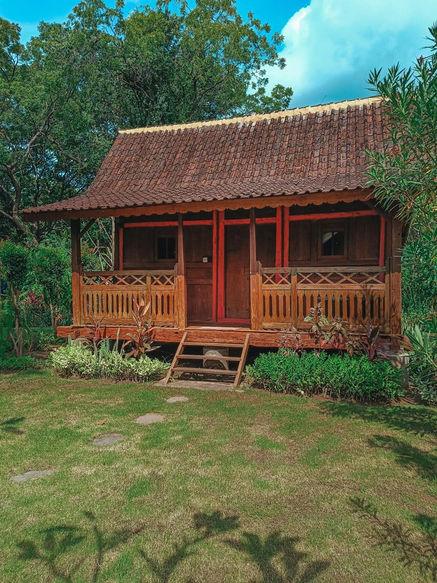 Alaya Ecolodge Pemuteran Exteriör bild